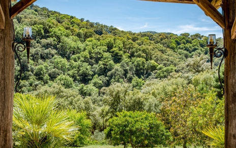 Well preserved woods, great for walks